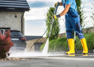 Best Painters Near You