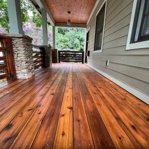 BEST Deck Staining Services Near You